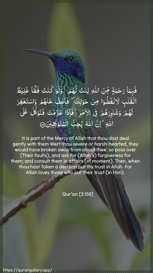 Aal-i-Imraan Ayah 159 - Arabic + English wallpaper