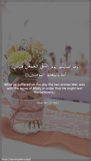 Aal-i-Imraan Ayah 166 - Arabic + English wallpaper