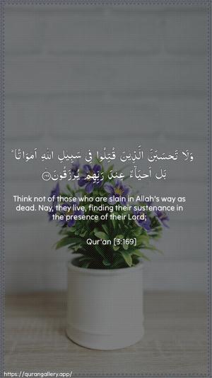 Aal-i-Imraan Ayah 169 - Arabic + English wallpaper