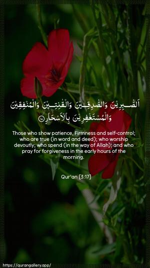 Aal-i-Imraan Ayah 17 - Arabic + English wallpaper