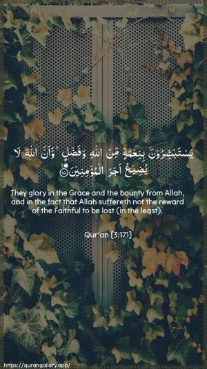 Aal-i-Imraan Ayah 171 - Arabic + English wallpaper