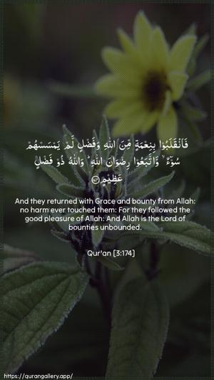 Aal-i-Imraan Ayah 174 - Arabic + English wallpaper