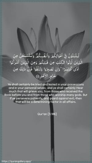 Aal-i-Imraan Ayah 186 - Arabic + English wallpaper