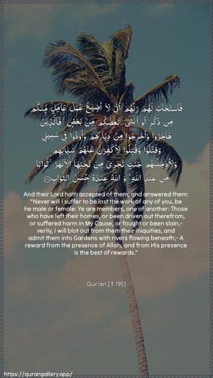 Aal-i-Imraan Ayah 195 - Arabic + English wallpaper