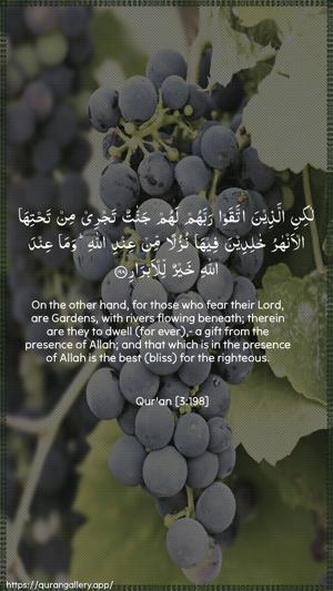 Aal-i-Imraan Ayah 198 - Arabic + English wallpaper