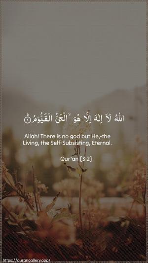 Aal-i-Imraan Ayah 2 - Arabic + English wallpaper