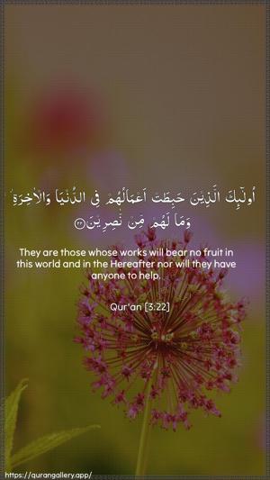 Aal-i-Imraan Ayah 22 - Arabic + English wallpaper
