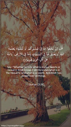 Aal-i-Imraan Ayah 29 - Arabic + English wallpaper