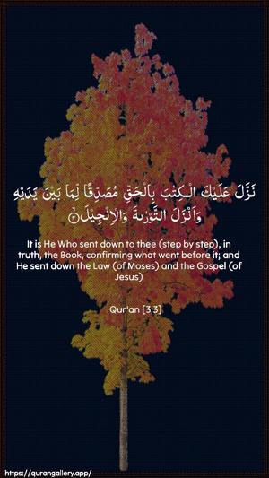 Aal-i-Imraan Ayah 3 - Arabic + English wallpaper