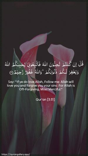 Aal-i-Imraan Ayah 31 - Arabic + English wallpaper