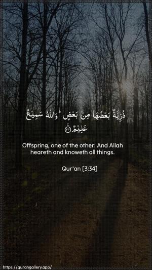 Aal-i-Imraan Ayah 34 - Arabic + English wallpaper