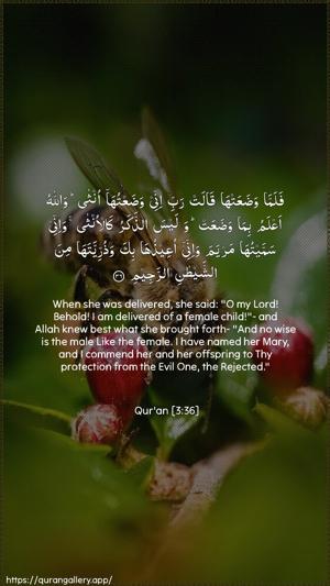 Aal-i-Imraan Ayah 36 - Arabic + English wallpaper