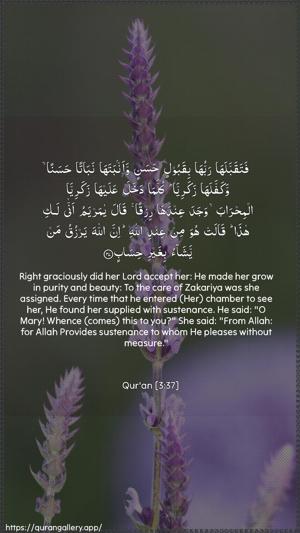 Aal-i-Imraan Ayah 37 - Arabic + English wallpaper