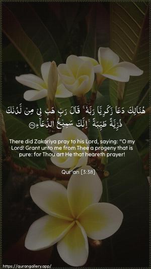 Aal-i-Imraan Ayah 38 - Arabic + English wallpaper