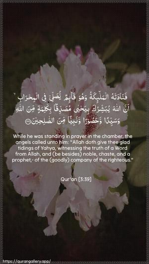 Aal-i-Imraan Ayah 39 - Arabic + English wallpaper