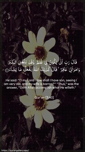 Aal-i-Imraan Ayah 40 - Arabic + English wallpaper