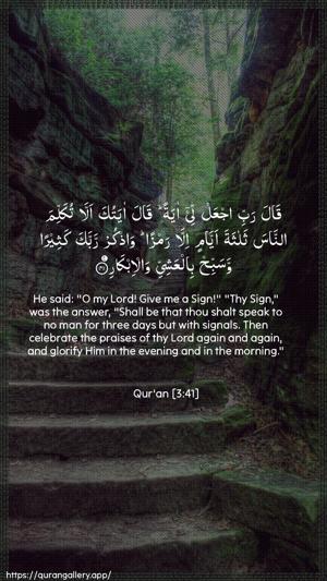 Aal-i-Imraan Ayah 41 - Arabic + English wallpaper