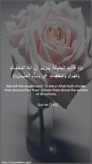 Aal-i-Imraan Ayah 42 - Arabic + English wallpaper