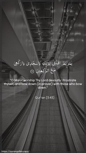 Aal-i-Imraan Ayah 43 - Arabic + English wallpaper