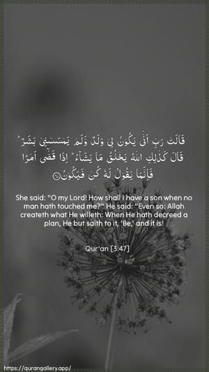 Aal-i-Imraan Ayah 47 - Arabic + English wallpaper
