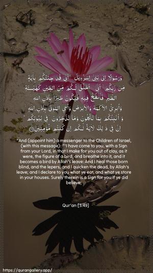 Aal-i-Imraan Ayah 49 - Arabic + English wallpaper
