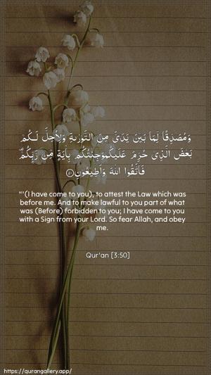 Aal-i-Imraan Ayah 50 - Arabic + English wallpaper