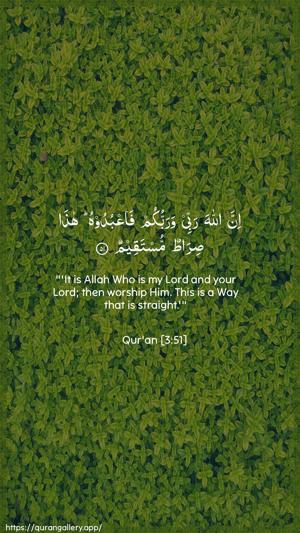 Aal-i-Imraan Ayah 51 - Arabic + English wallpaper