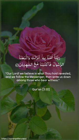 Aal-i-Imraan Ayah 53 - Arabic + English wallpaper