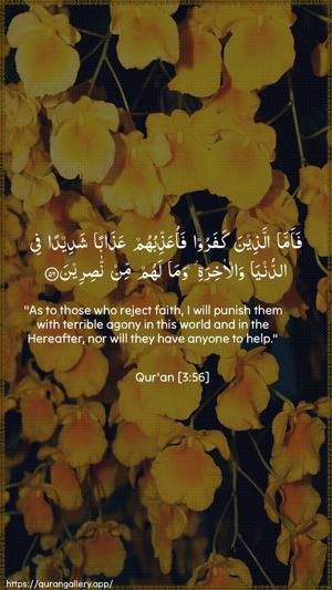 Aal-i-Imraan Ayah 56 - Arabic + English wallpaper