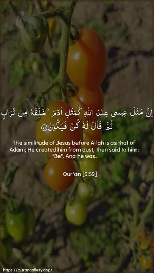 Aal-i-Imraan Ayah 59 - Arabic + English wallpaper