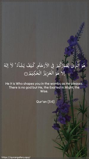 Aal-i-Imraan Ayah 6 - Arabic + English wallpaper