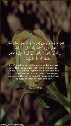 Aal-i-Imraan Ayah 61 - Arabic + English wallpaper