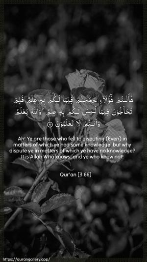 Aal-i-Imraan Ayah 66 - Arabic + English wallpaper