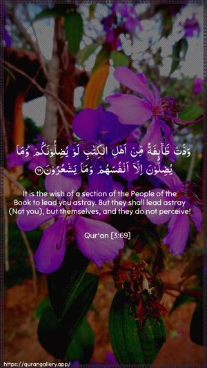 Aal-i-Imraan Ayah 69 - Arabic + English wallpaper