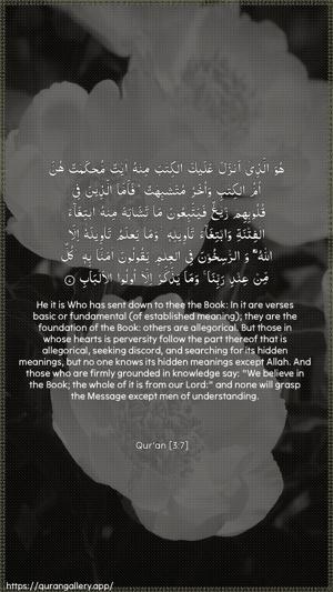 Aal-i-Imraan Ayah 7 - Arabic + English wallpaper
