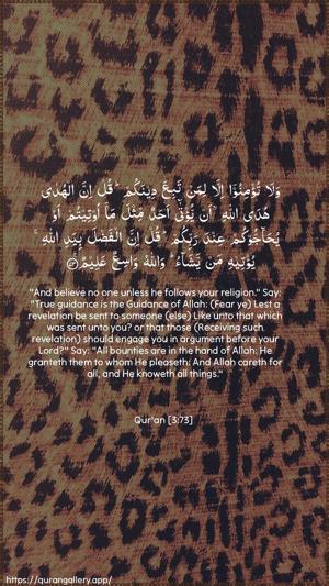Aal-i-Imraan Ayah 73 - Arabic + English wallpaper