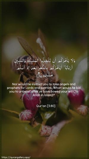 Aal-i-Imraan Ayah 80 - Arabic + English wallpaper