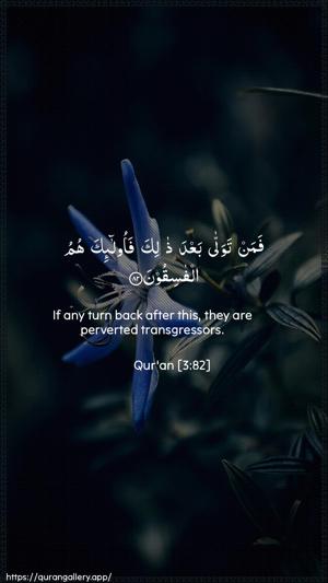 Aal-i-Imraan Ayah 82 - Arabic + English wallpaper