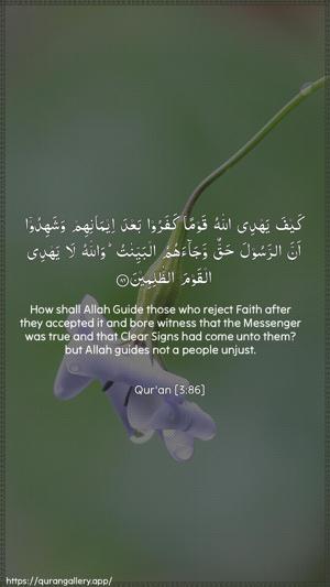 Aal-i-Imraan Ayah 86 - Arabic + English wallpaper