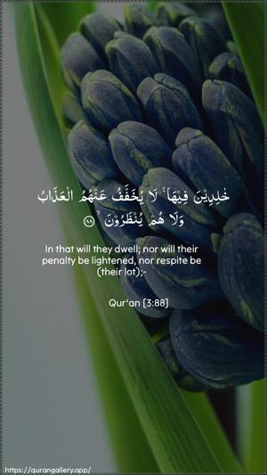 Aal-i-Imraan Ayah 88 - Arabic + English wallpaper