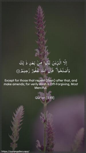 Aal-i-Imraan Ayah 89 - Arabic + English wallpaper