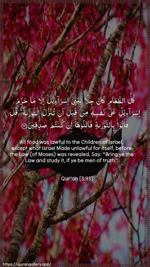 Aal-i-Imraan Ayah 93 - Arabic + English wallpaper