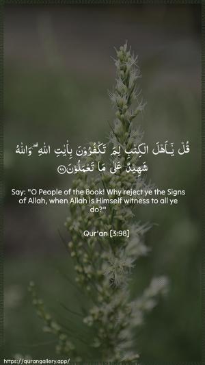Aal-i-Imraan Ayah 98 - Arabic + English wallpaper