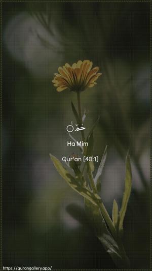 Al-Ghaafir Ayah 1 - Arabic + English wallpaper
