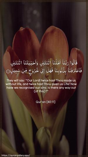 Al-Ghaafir Ayah 11 - Arabic + English wallpaper