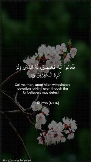 Al-Ghaafir Ayah 14 - Arabic + English wallpaper
