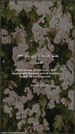 Al-Ghaafir Ayah 19 - Arabic + English wallpaper