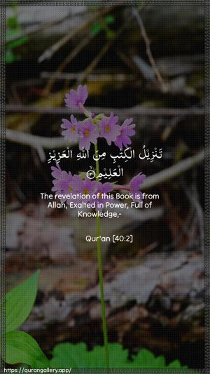 Al-Ghaafir Ayah 2 - Arabic + English wallpaper