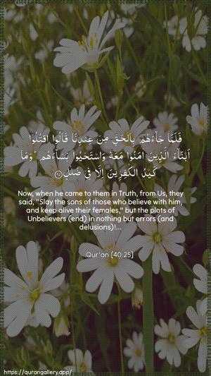 Al-Ghaafir Ayah 25 - Arabic + English wallpaper
