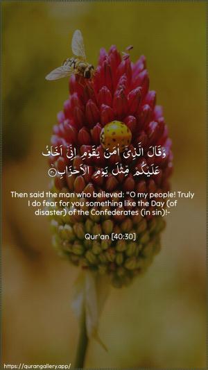 Al-Ghaafir Ayah 30 - Arabic + English wallpaper